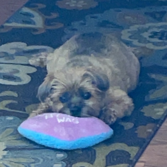 Meet your Posher, Emily - Picture 5 of 6